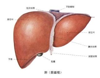 大三阳是什么意思？