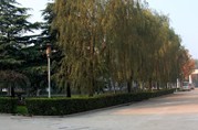 天津蓟州洪伟友好医院